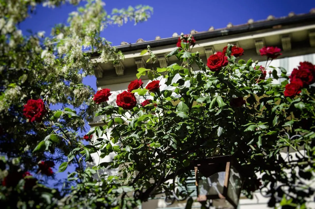 Lovely Nest Near Florence City Center